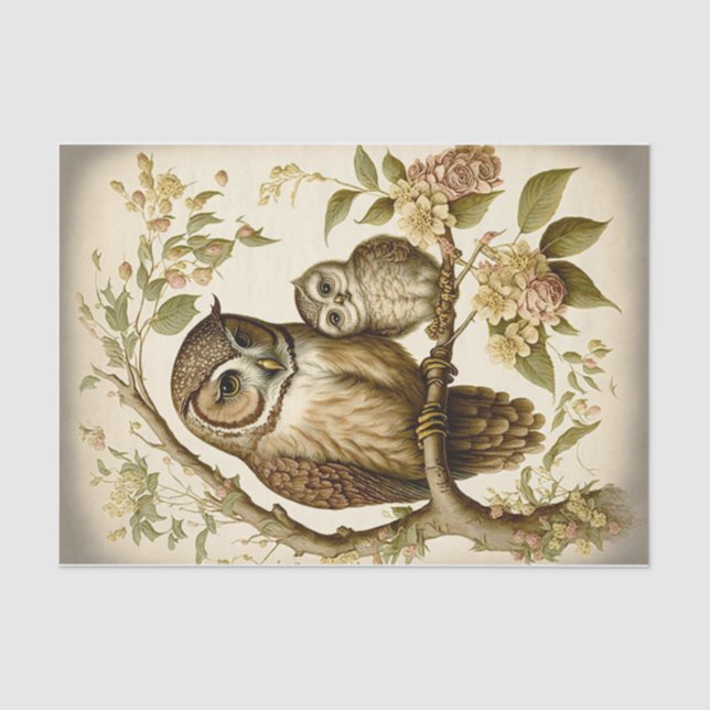 Owl and Baby Tissue Paper (Front)