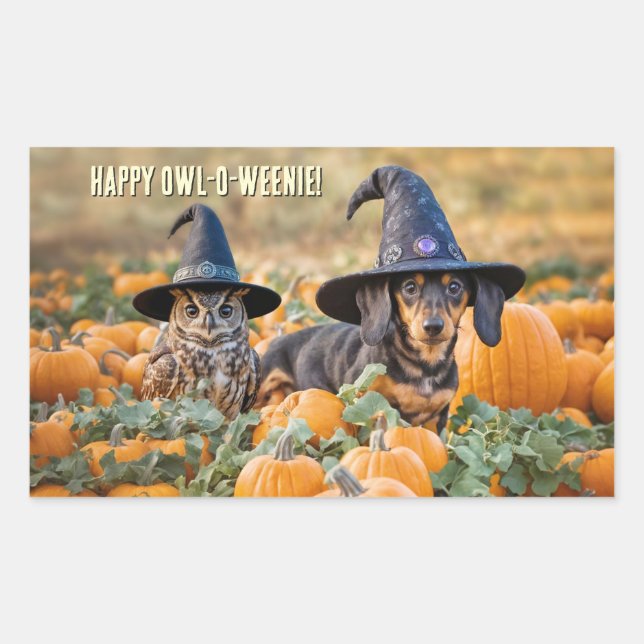 Owl and Dachshund Weiner Dog Halloween Funny Rectangular Sticker (Front)