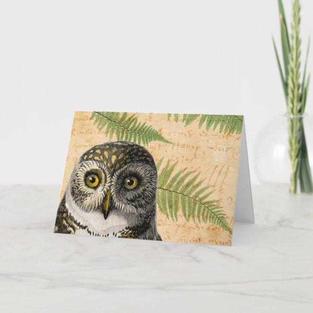 Owl and Ferns All Occasions Card (Front)