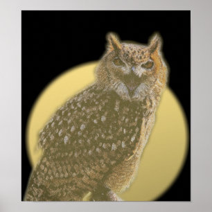 Owl and Full Moon Poster