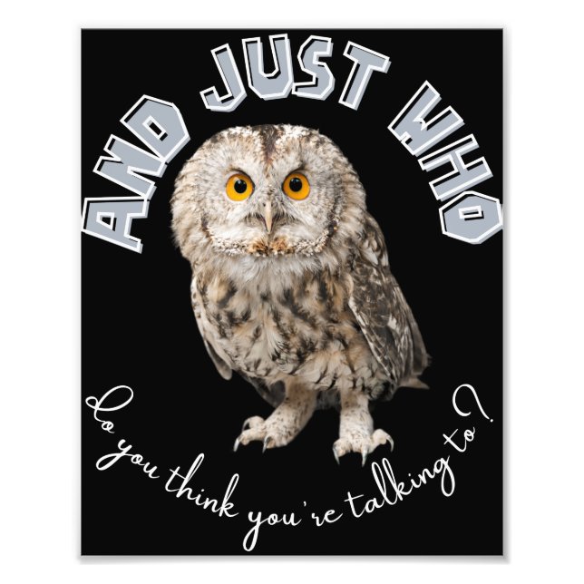Owl: And Just Who Do You Think You're Talking To? Photo Print (Front)