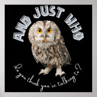 Owl: And Just Who Do You Think You're Talking To?