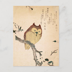 Owl and magnolia – Kobushi ni mimizuku Postcard
