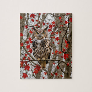 Owl and Maple Leaves Jigsaw Puzzle