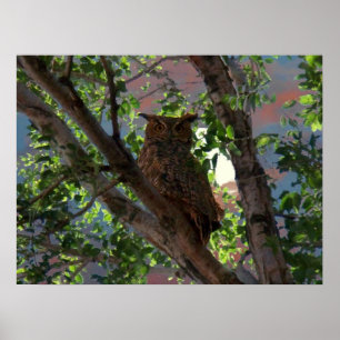 Owl and the Moon Print
