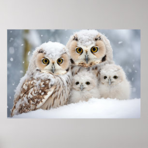 Owl Animal Bird Beauty Freedom Wilderness Wall Art