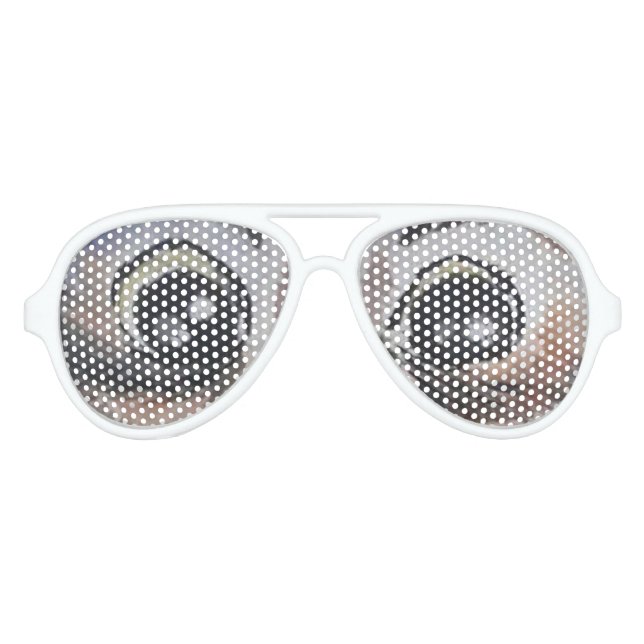 Owl Aviator Sunglasses Big Eyes (Front)