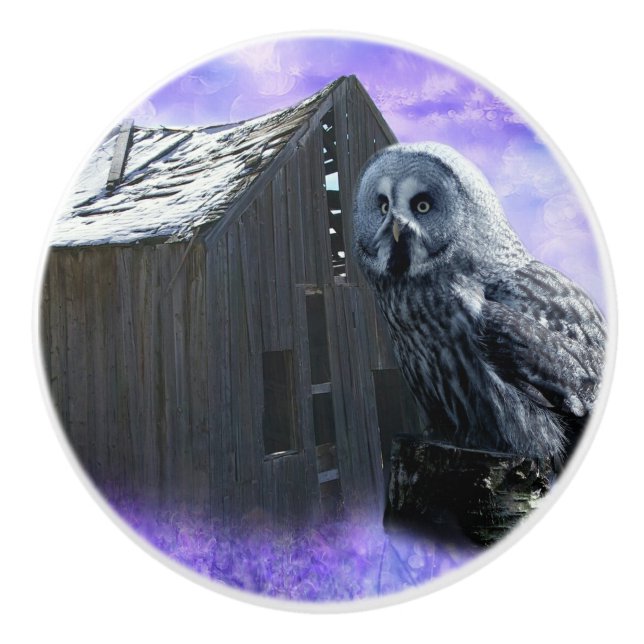 Owl Barn Shed Ceramic Knob (Front)