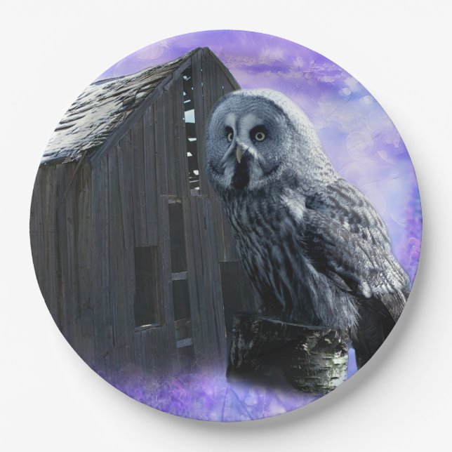 Owl Barn Shed Paper Plate (Front)