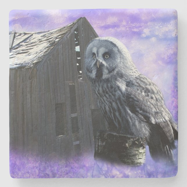 Owl Barn Shed Stone Coaster (Front)