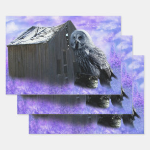 Owl Barn Shed Wrapping Paper Sheet