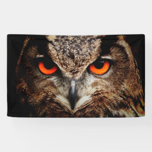 owl bird eyes eagle banner