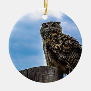 Owl Bird Feathers Animal Nature Destiny Peace Love Ceramic Tree Decoration