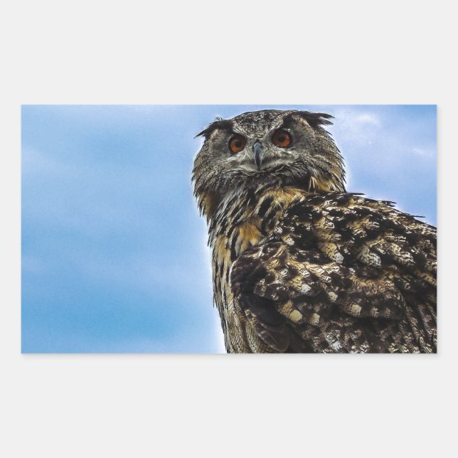 Owl Bird Feathers Animal Nature Destiny Peace Love Rectangular Sticker (Front)