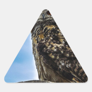 Owl Bird Feathers Animal Nature Destiny Peace Love Triangle Sticker