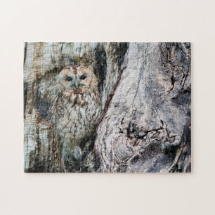 owl bird jigsaw Puzzle