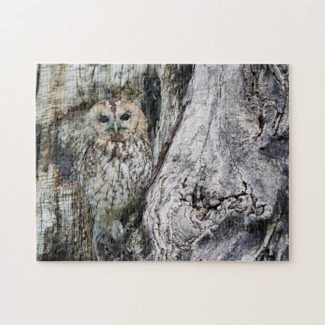 owl bird jigsaw Puzzle (Horizontal)