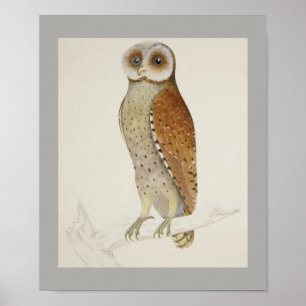 Owl Bird Peace Cottage Office Destiny's Destiny Poster