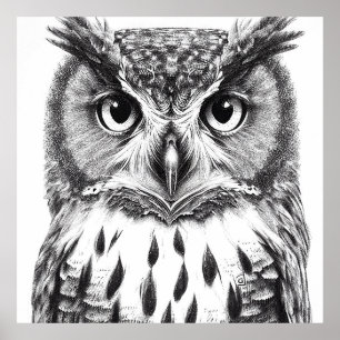 Owl Bird Wild Nature Animal Illustration Art  Poster