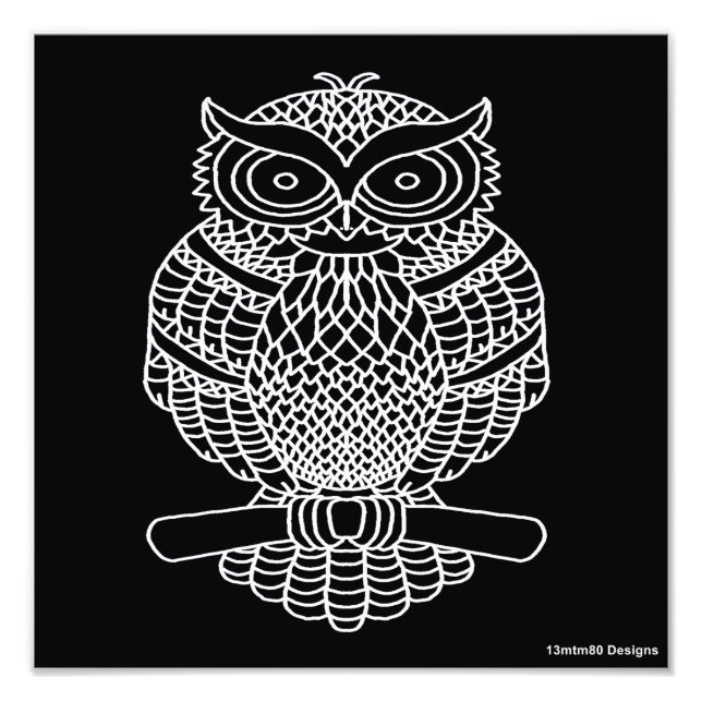 Owl (black) - Photo Print (Front)