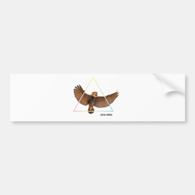 Owl Bumper Sticker (Front)