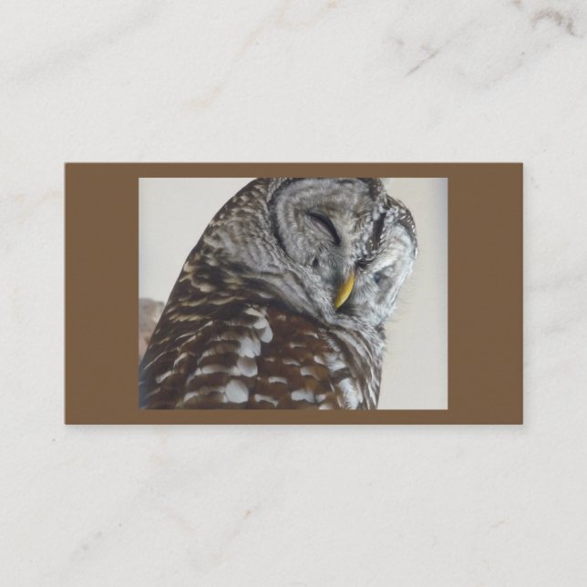 Owl Business Cards (Front)