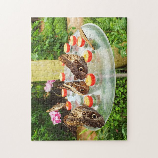 Owl butterflies jigsaw puzzle (Vertical)