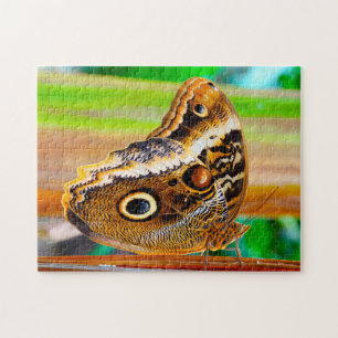 Owl Butterfly. Jigsaw Puzzle