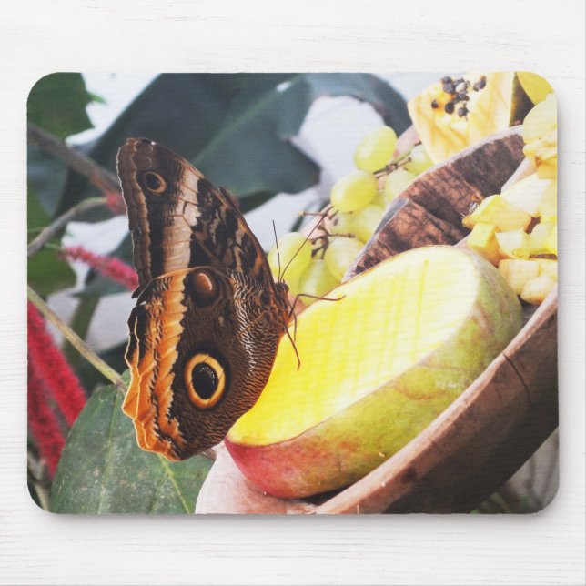 Owl butterfly mouse pad (Front)