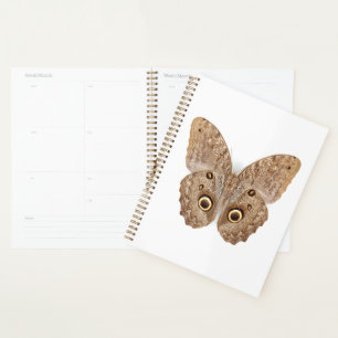 Owl Butterfly Planner