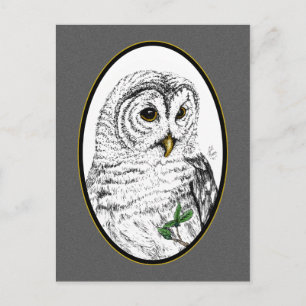 Owl Cameo Postcard