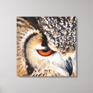 OWL CANVAS PRINT