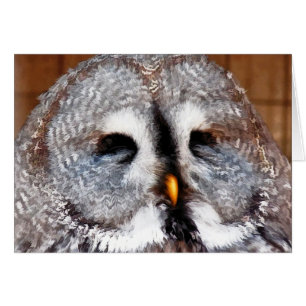 OWL CARD