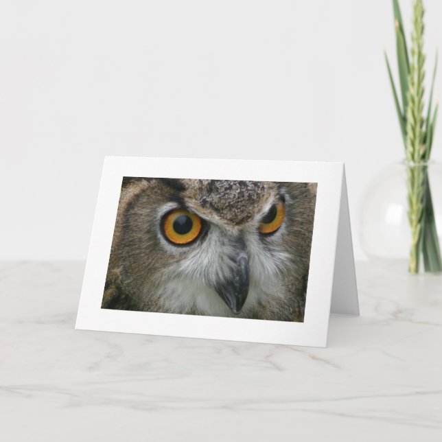 Owl Card (Front)