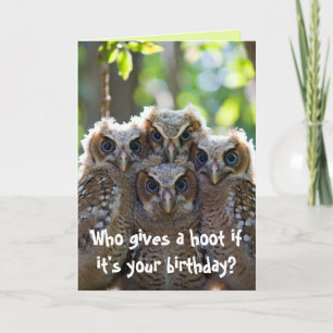 Owl  card