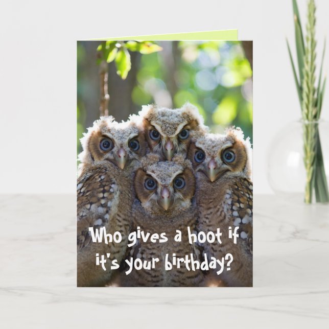 Owl  card (Front)