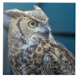 Owl ceramic tile
