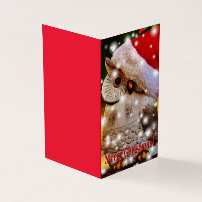 owl christmas (Outside)