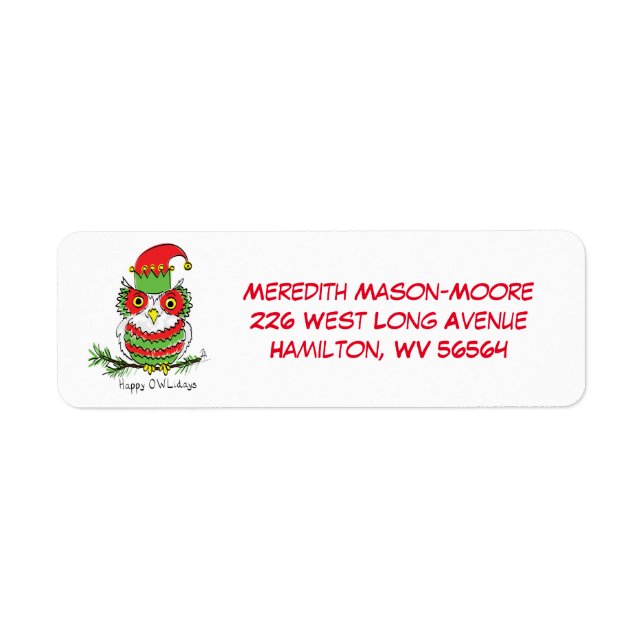 Owl Christmas Cute Funny Holiday (Front)