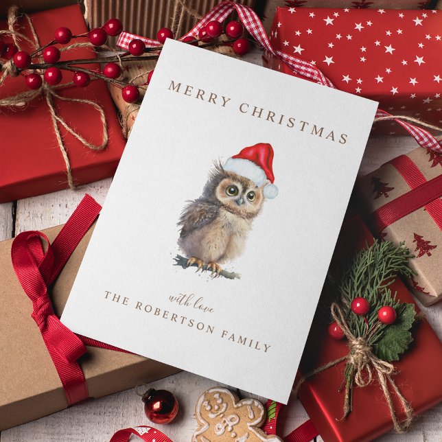Owl Christmas Greeting Holiday Card (Creator Uploaded)