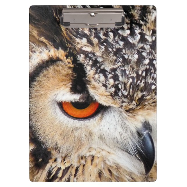 OWL CLIPBOARD (Front)