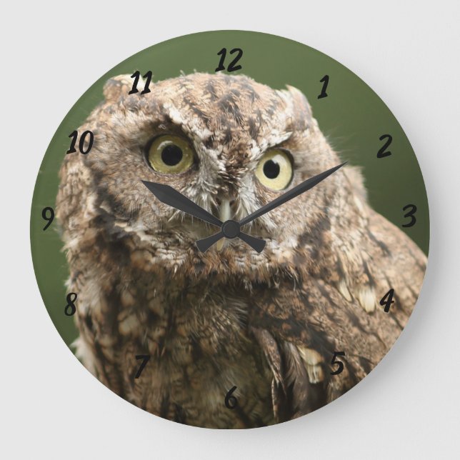 Owl Clock, Large Clock (Front)