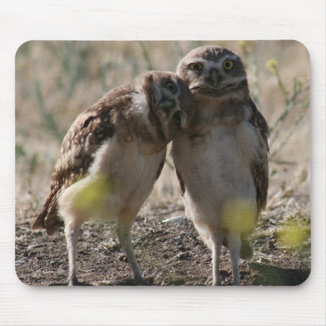 Owl couple mouse pad (Front)