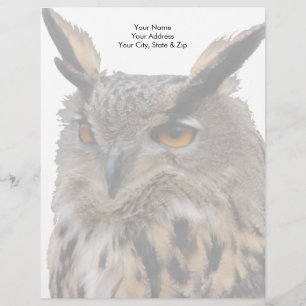 Owl Custom Letterhead