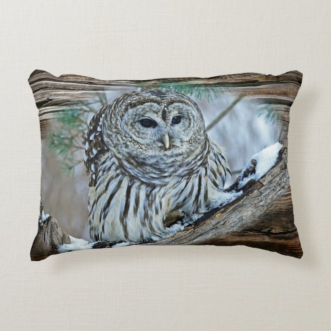 Owl Decorative Cushion (Front)