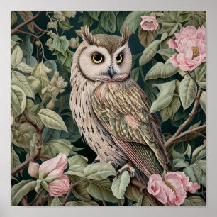Owl Decorative Painting Poster