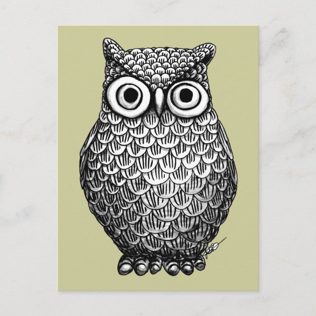 Owl Design Post Card (Front)
