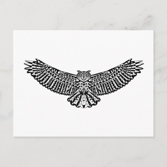 Owl Doodle Postcard (Front)