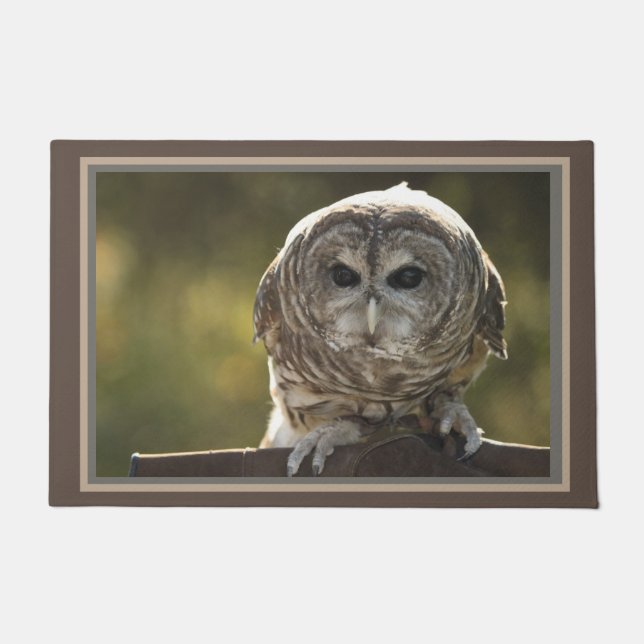 Owl doormat (Front)