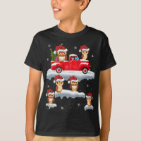 Owl Driving Christmas Tree Red Truck Owl Christmas